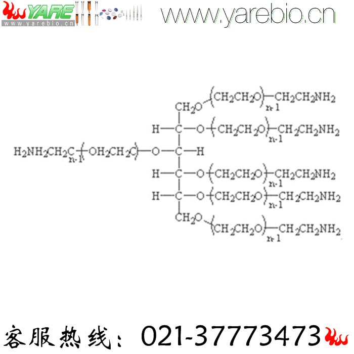 6arm-PEG-NH2 6 arm PEG-Amine 六臂PEG氨基 PEG修饰剂 PEG衍生物