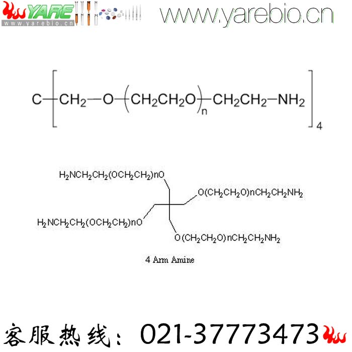 4arm-PEG-NH2 4 arm PEG-Amine 四臂PEG氨基 PEG修饰剂 PEG衍生物