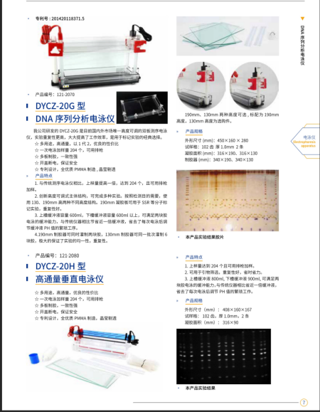 DNA序列分析电泳仪