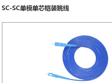 SC-SC单模单芯铠装跳线