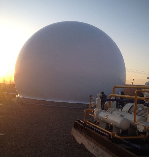 沼气收集设备工程市场走势、厂家特点