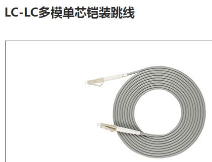 LC-LC多模单芯铠装跳线