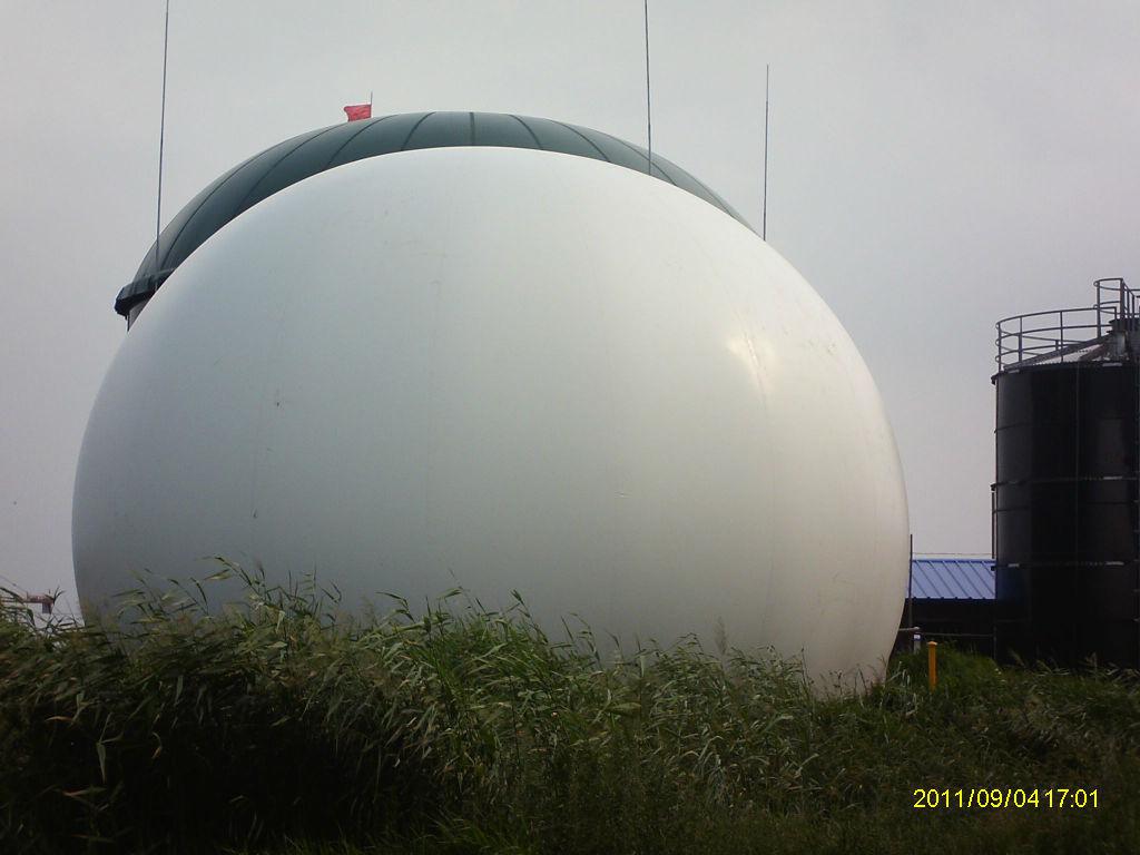 鸡粪发酵沼气储气柜设备安装工艺-价格核算标准