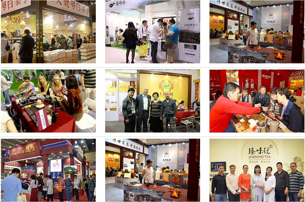 2020第十七届上海国际茶业交易博览会（春季）