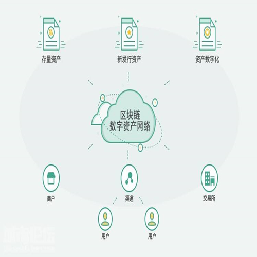 区块宠物系统开发案例