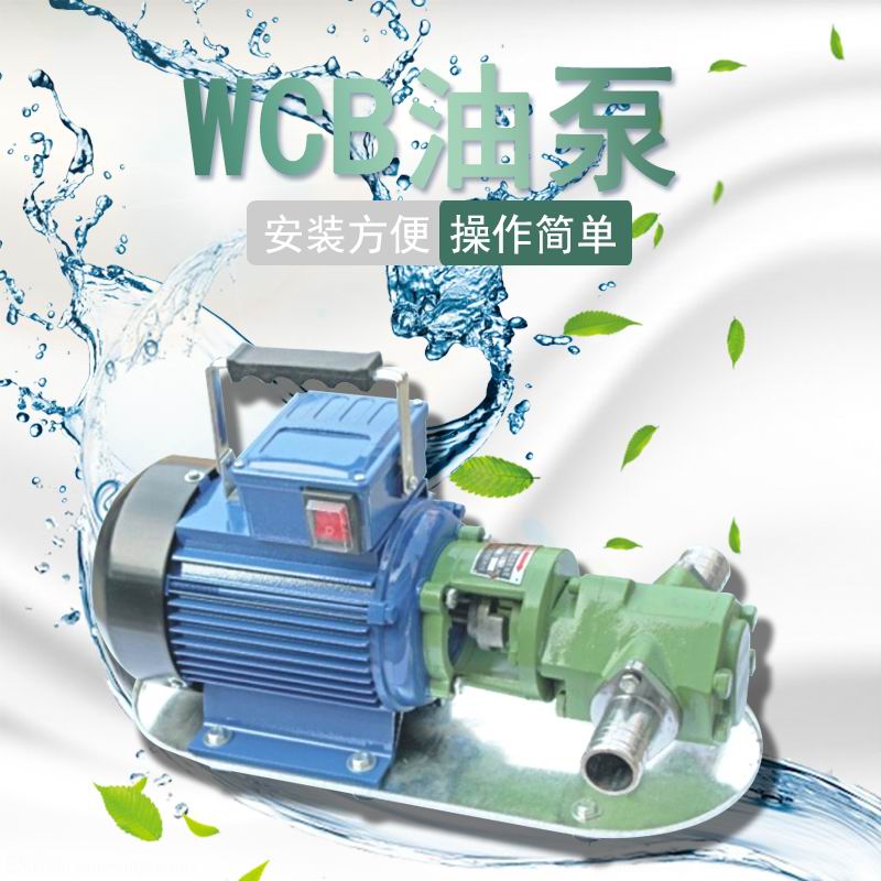 抽油泵手提式WCB齿轮油泵WCB30