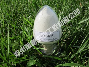 食品级焦磷酸铁 原料 国标 报价 - 郑州瑞普