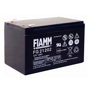 12FGHL48 12V12AH FIAMM蓄电池