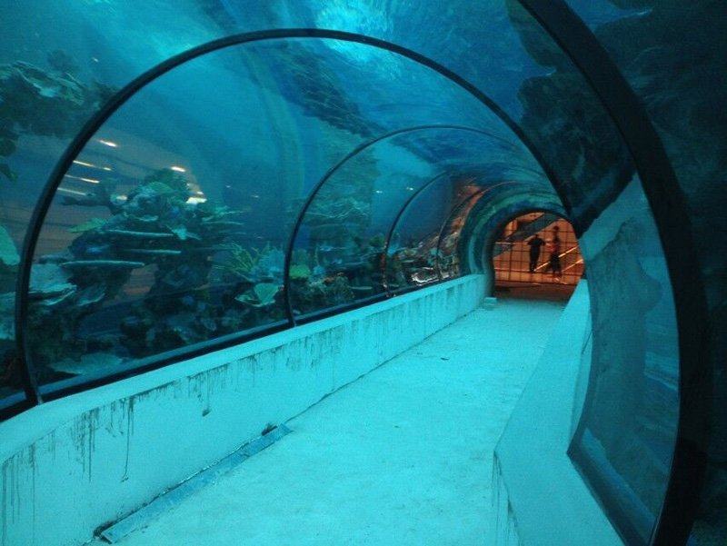 广州玻璃海鲜池造价-订做活海鲜鱼池