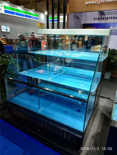 专业订做酒店海鲜池选择广州洋清水族科技有限公司