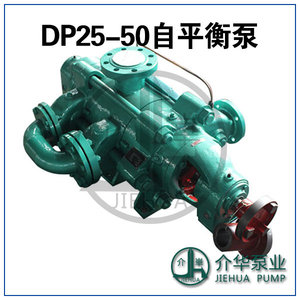 DP25-50X8自平衡泵