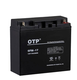 OTP蓄电池6FM-17现货直销12V17AH