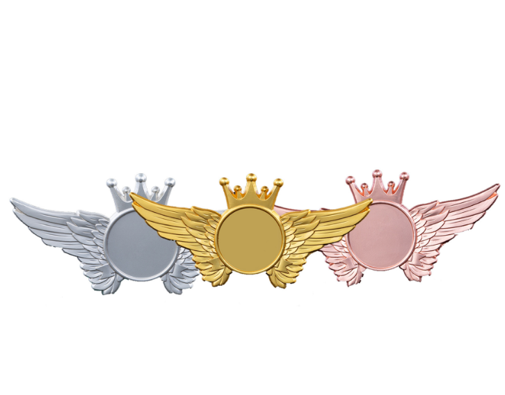 翅膀徽章，定制胸章厂，镀珍珠金银铜胸章
