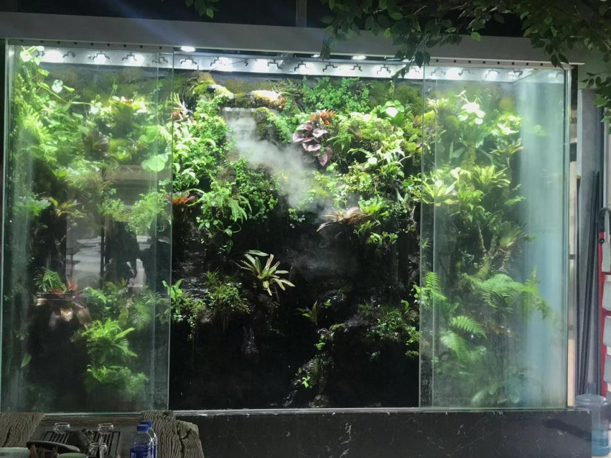 小鱼缸水族箱换水器手动虹吸污鱼缸换水吸水管抽水器清洁