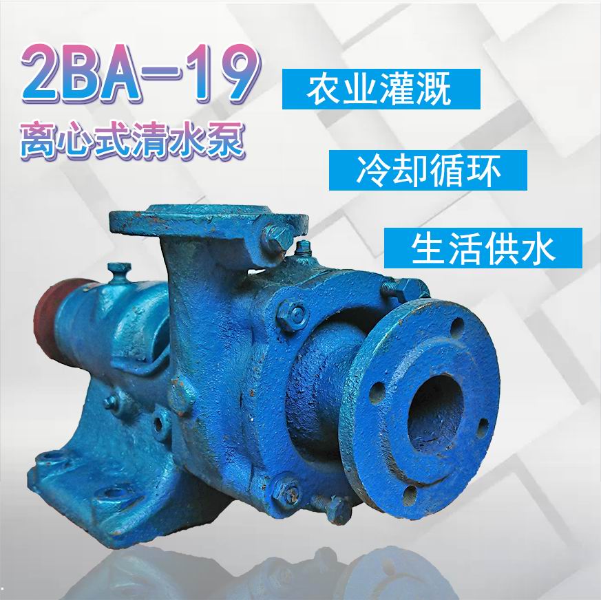 2BA-9单级单吸离心泵