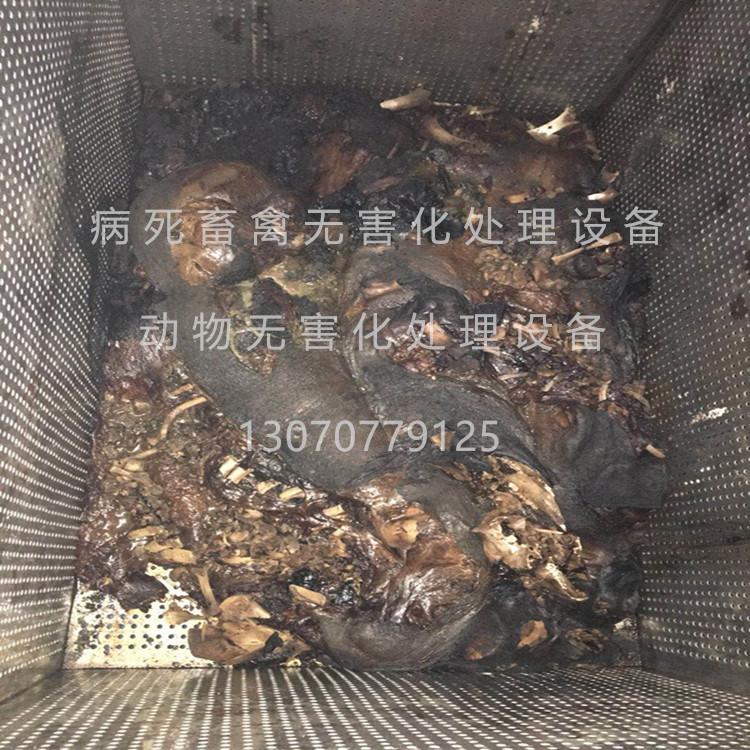 病死畜禽无害化处理设备养殖场无害化处理设备