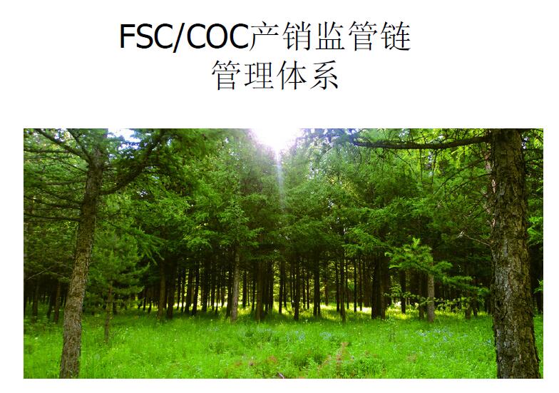 深圳FSC认证东莞森林管理体系认证辅导培训咨询办理申请费用公司
