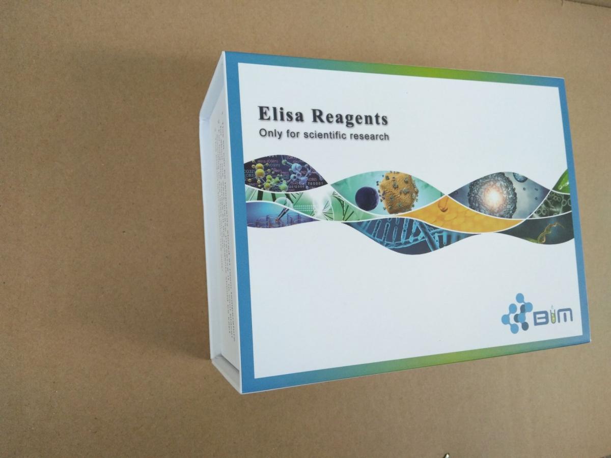 小鼠一氧化氮（NO）elisa检测试剂盒