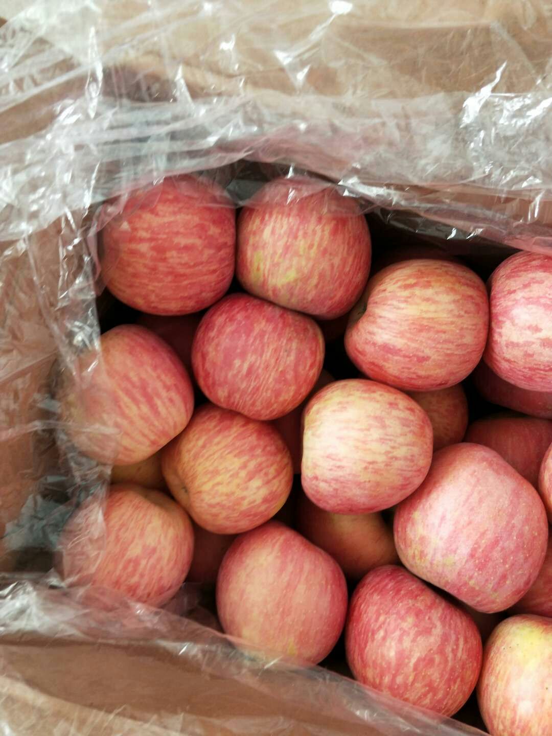 山东红富士苹果产地价格 临沂地区价格