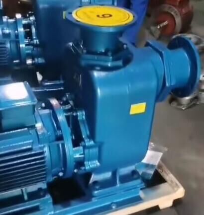 滁州市CYZ自吸油泵大流量自吸柴油泵