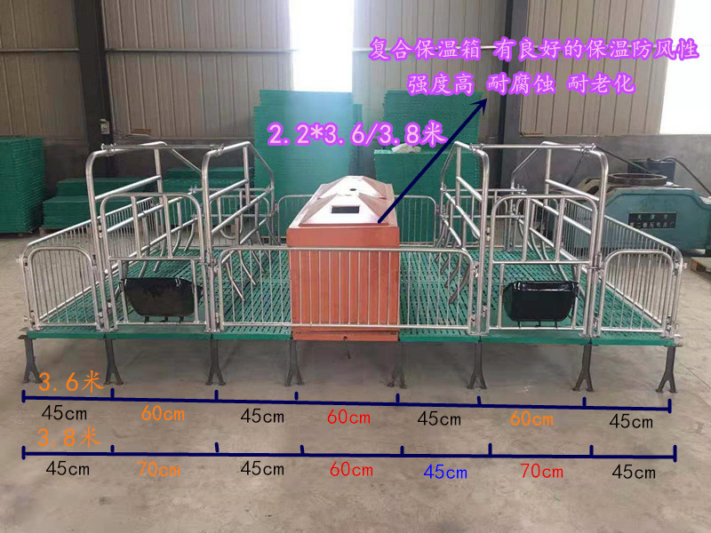 双体复合母猪产床 猪用分娩栏厂家直销