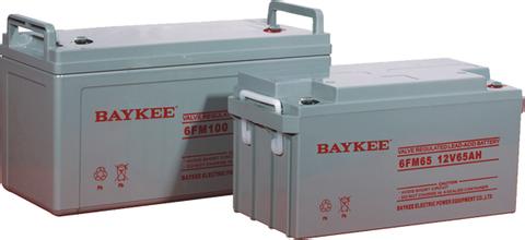 BAYKEE蓄电池6FM-85紧急设备用蓄电池