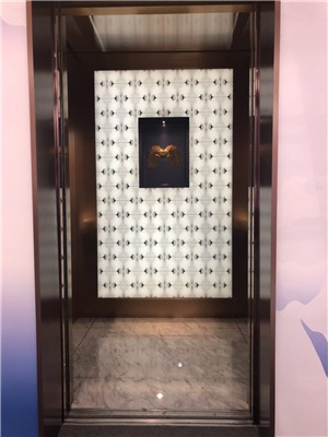 北京家用电梯北京别墅电梯观光电梯