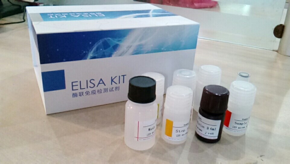 大鼠I型胶原（Col I）elisa试剂盒@今日发布