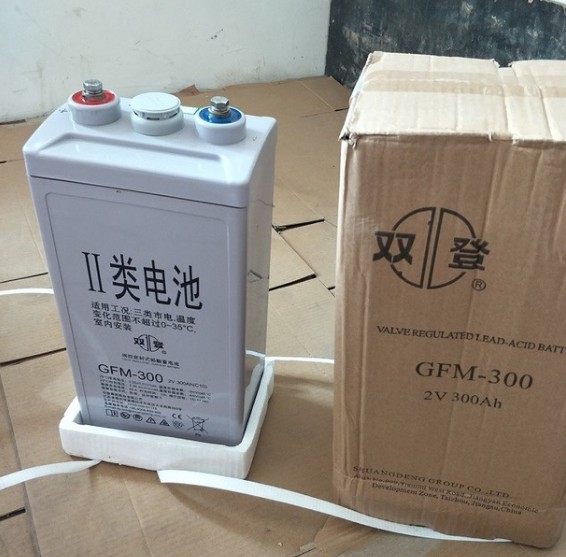 GFM-300双登蓄电池 阀控式铅酸免维护蓄电池