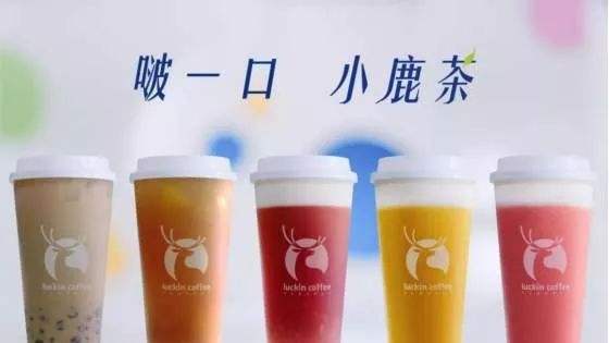永州如何开一家成功的小鹿茶奶茶加盟店