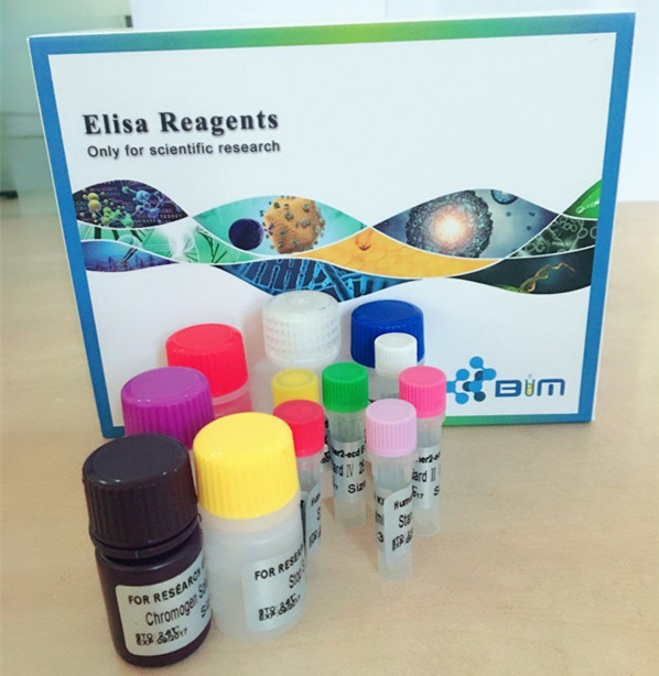 小鼠红细胞生成素（EPO）elisa试剂盒