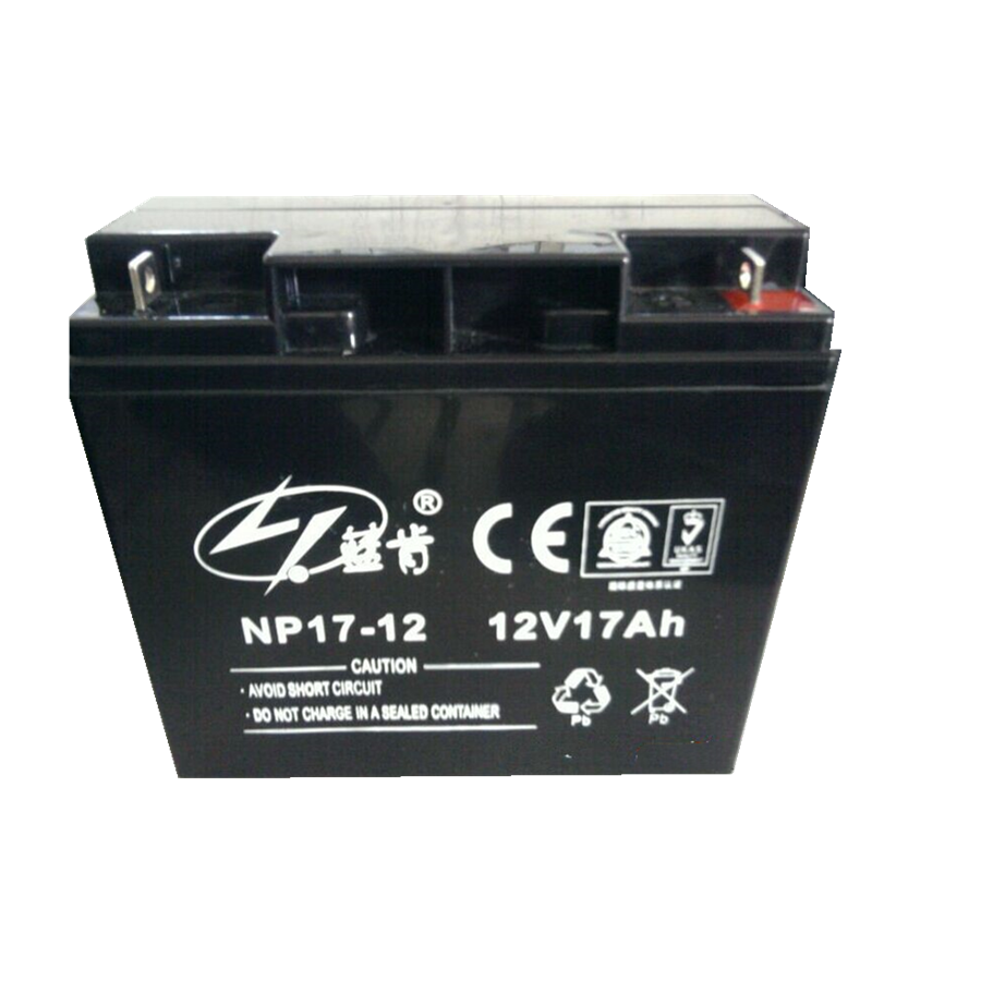 蓝肯蓄电池NP100-12 12V100AH光伏发电