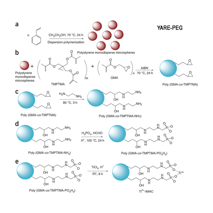 Microspheres 微球颗粒 乳胶微球 磁珠