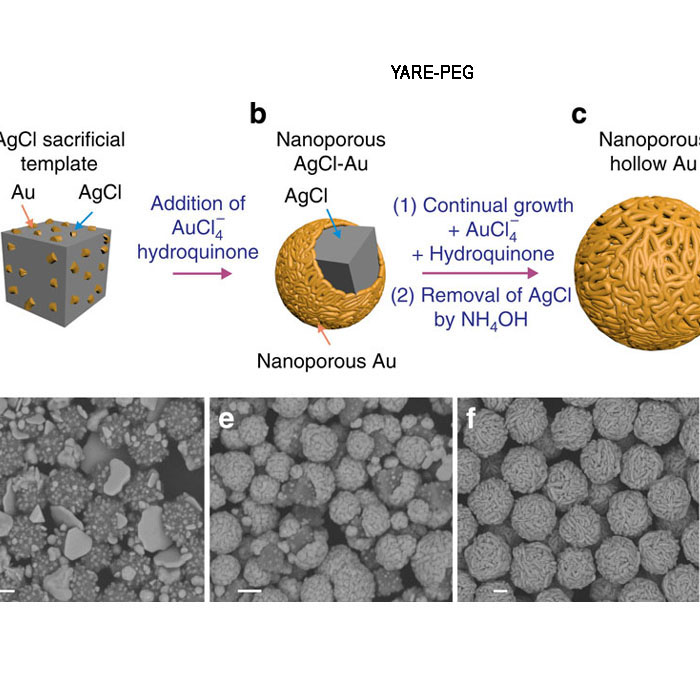 Gold Nanoparticles 金纳米颗粒