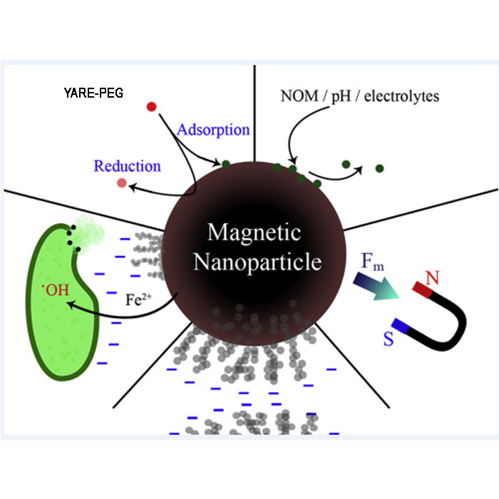 Magnetic nano 四氧化三铁 纳米磁珠