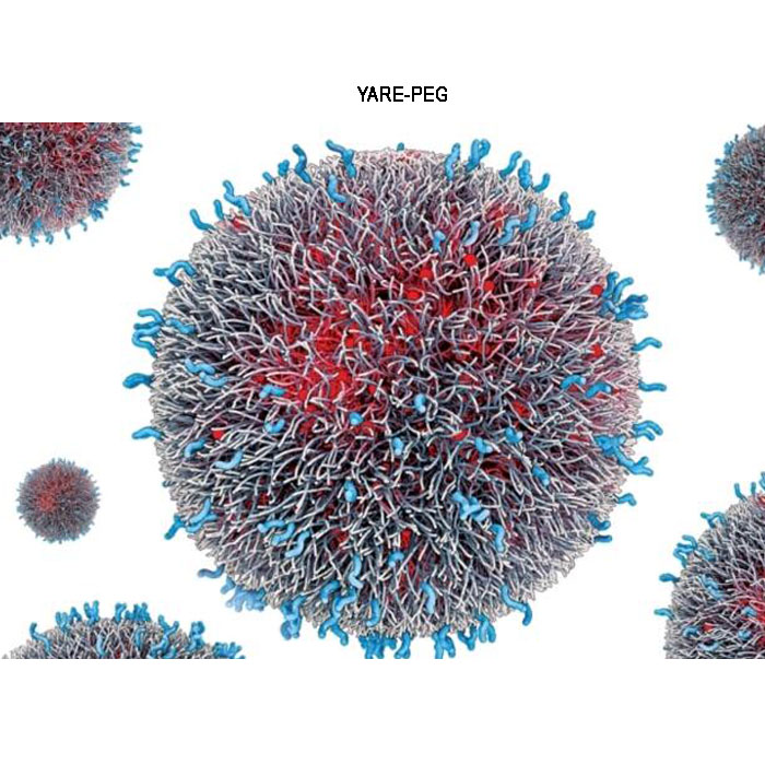 Nano drug delivery 纳米载药系统