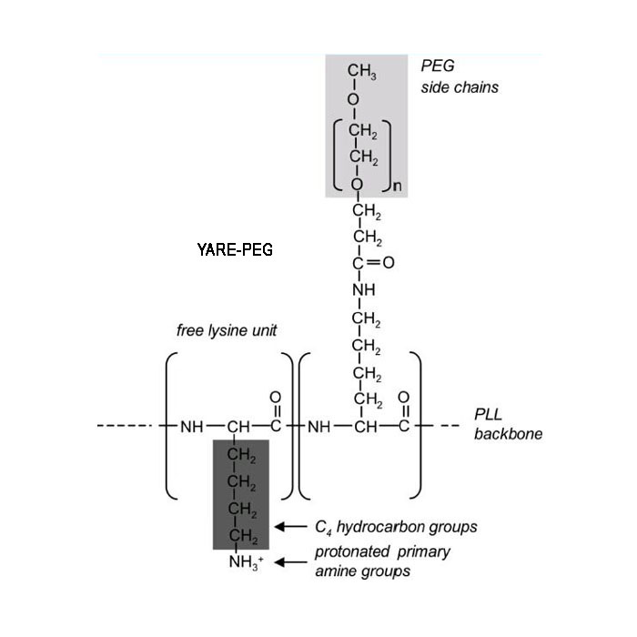 Block Copolymers 嵌段共聚物