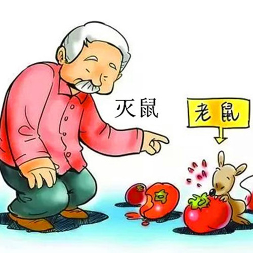 潍坊青州灭鼠一般多少钱,青州灭蚂蚁蟑螂一般多少钱