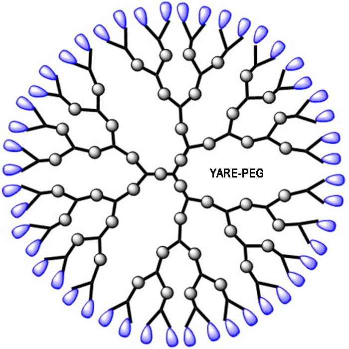 树枝状分子砌块 Dendrimer Building Blocks