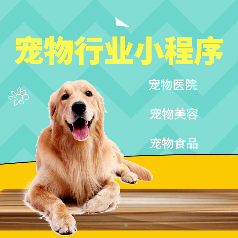 南宁宠物店小程序开发制作宠物小程序制作宠物行业小程序 
