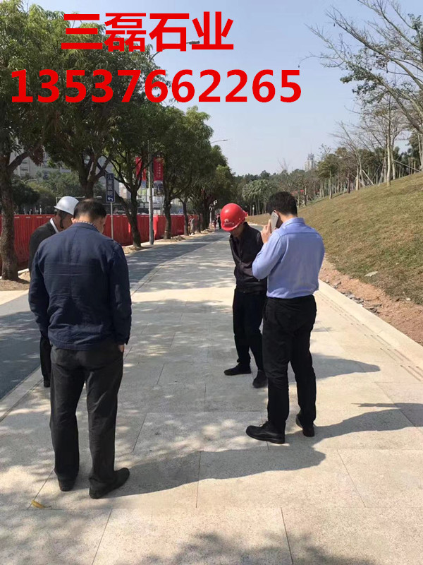 深圳进口花岗岩石材厂家P08印度红蓝珍珠幻彩红树挂冰花