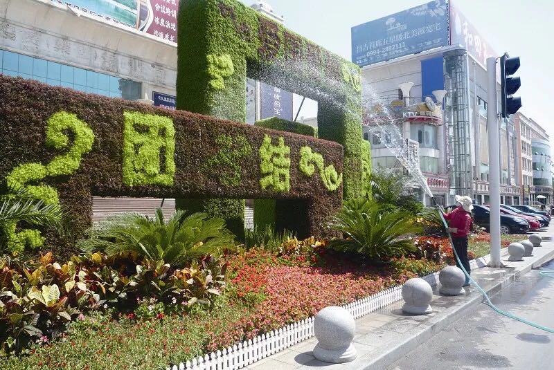 四川植物绿雕报价-四川绿雕工程报价-绿雕生产