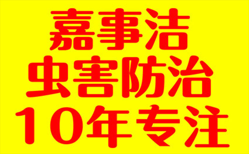 新余杀虫公司南昌专业灭蟑螂公司南昌灭鼠公司排名