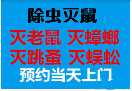 南昌家庭白蚁防治上饶杀虫公司南昌杀虫灭老鼠公司