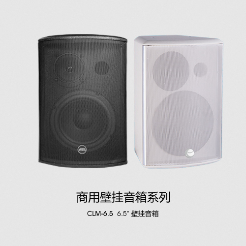 ETC CLM-6.5高端商用壁挂音箱 会议室商场超市壁挂喇叭