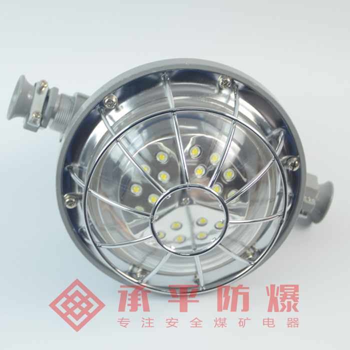 DGS30/127L煤矿井下巷道用LED灯30W