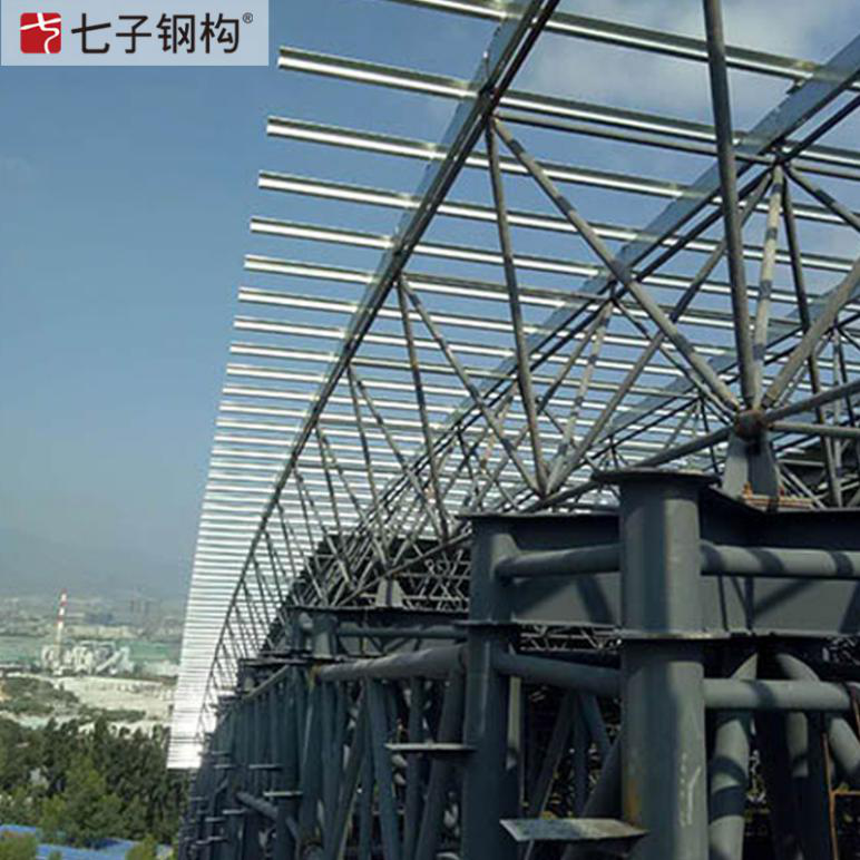 钢结构建筑，轻钢结构，异形钢结构加工安装