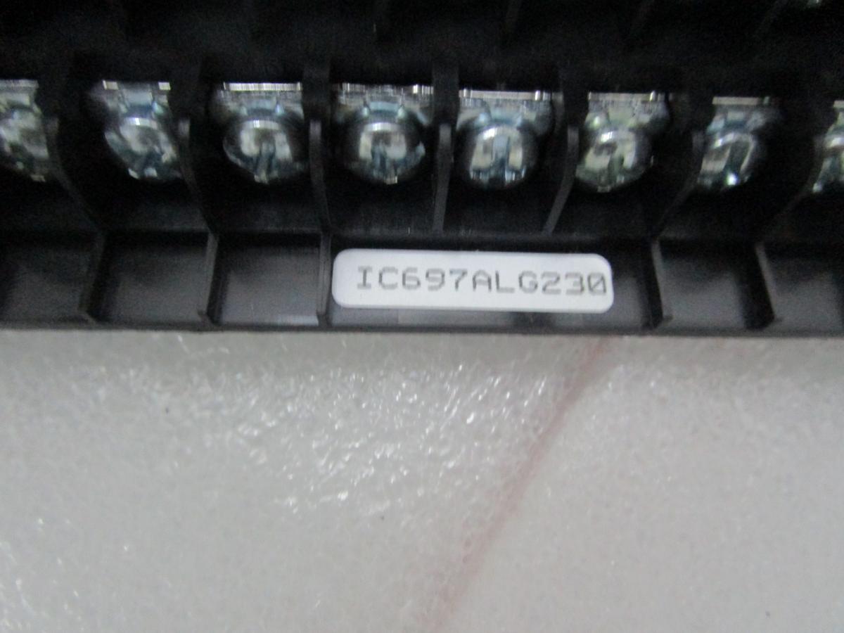 GE IC800SSI228P2RR