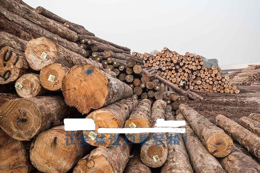 加拿大白蜡木进口清关商检进口报关税率申报要素
