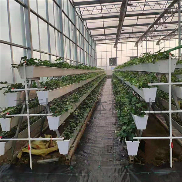 草莓种植槽 蔬菜立体栽培槽 英耐尔
